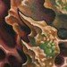 tattoo galleries/ - aggro bio